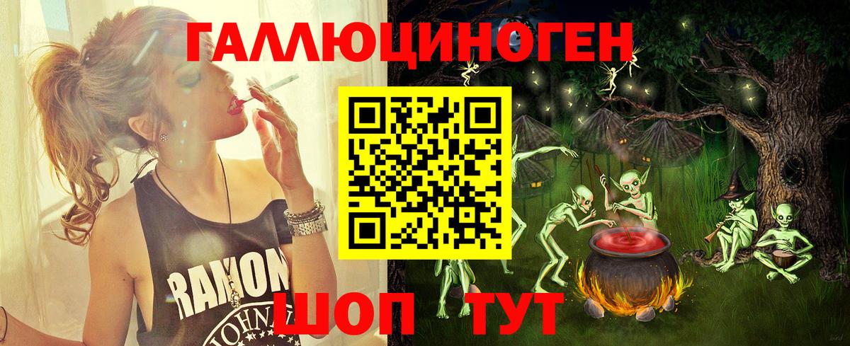 Псилоцибиновые грибы Psilocybe Крымск